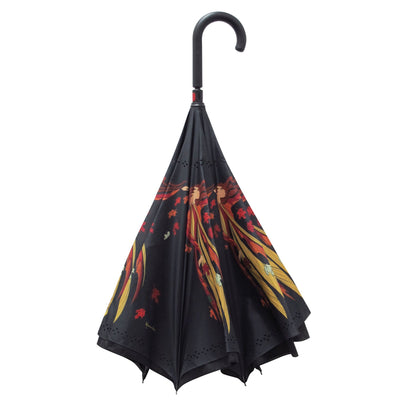Umbrellas